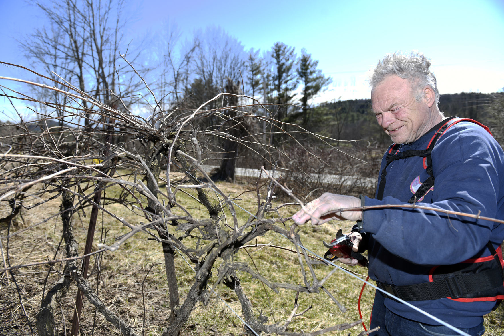 Time with the Vines